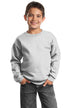 Port & Company ®  - Youth Core Fleece Crewneck Sweatshirt.  PC90Y