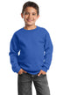 Port & Company ®  - Youth Core Fleece Crewneck Sweatshirt.  PC90Y