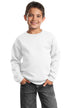 Port & Company ®  - Youth Core Fleece Crewneck Sweatshirt.  PC90Y