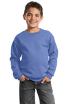 Port & Company ®  - Youth Core Fleece Crewneck Sweatshirt.  PC90Y