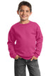 Port & Company ®  - Youth Core Fleece Crewneck Sweatshirt.  PC90Y